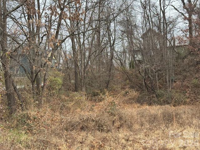 11 Green Street, Asheville, NC 28801