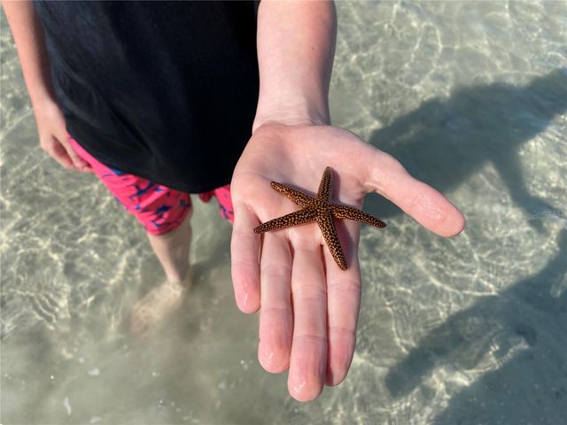 2955 N BEACH ROAD D125, Englewood, FL 34223