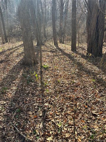 00 Faussett Road, Tyrone Township, MI 48430