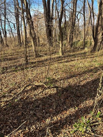 00 Faussett Road, Tyrone Township, MI 48430