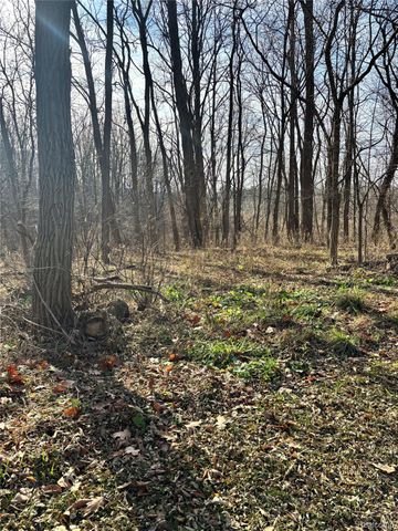 00 Faussett Road, Tyrone Township, MI 48430
