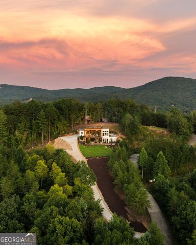 251 Angel Heart Lane, Mineral Bluff, GA 30559