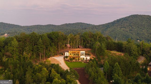 251 Angel Heart Lane, Mineral Bluff, GA 30559