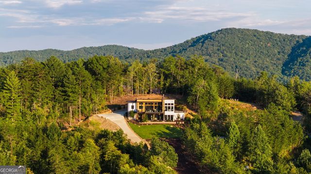 251 Angel Heart Lane, Mineral Bluff, GA 30559