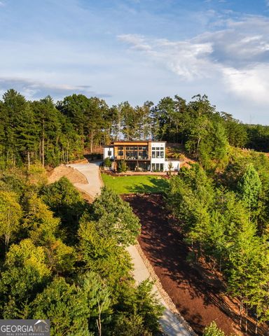 251 Angel Heart Lane, Mineral Bluff, GA 30559