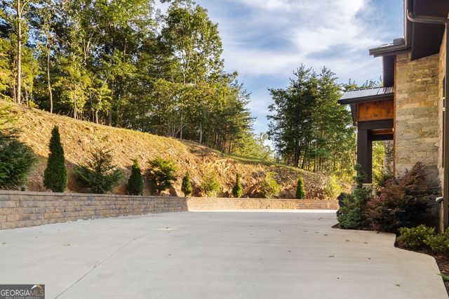 251 Angel Heart Lane, Mineral Bluff, GA 30559