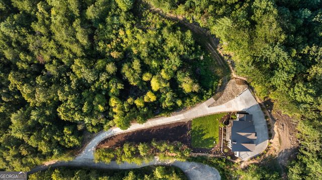 251 Angel Heart Lane, Mineral Bluff, GA 30559