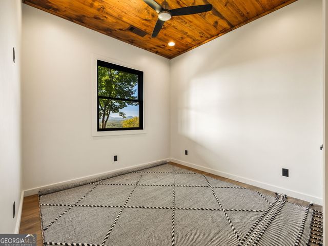 251 Angel Heart Lane, Mineral Bluff, GA 30559