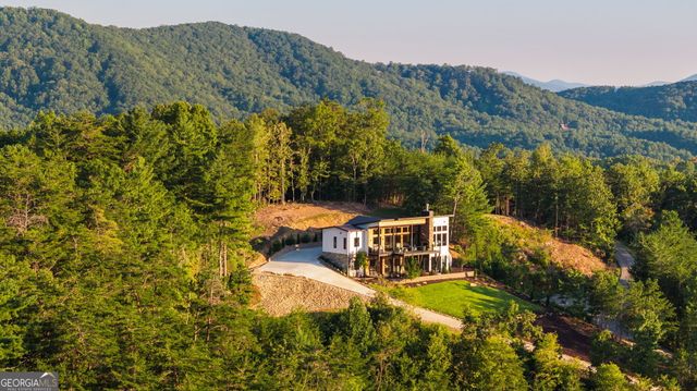 251 Angel Heart Lane, Mineral Bluff, GA 30559