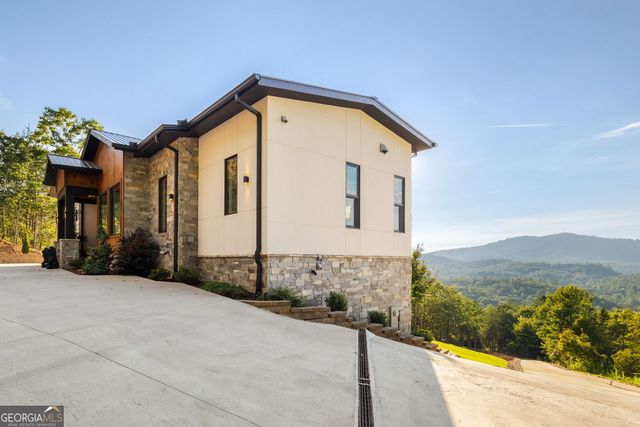 251 Angel Heart Lane, Mineral Bluff, GA 30559