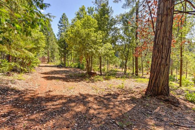 6960 Blackhawk Ln, Foresthill, CA 95631