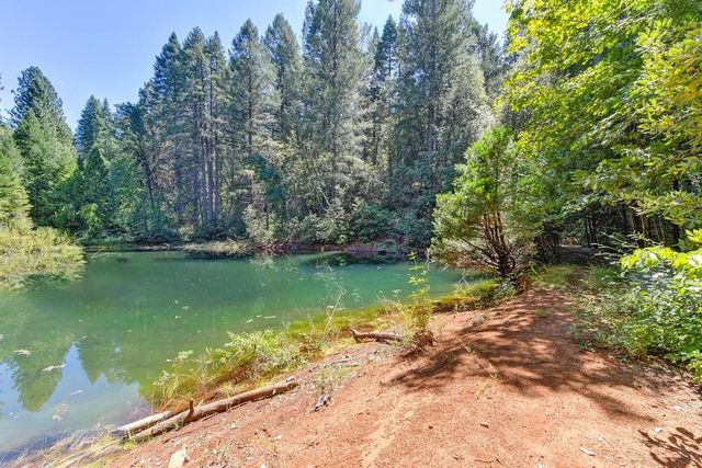 6960 Blackhawk Ln, Foresthill, CA 95631