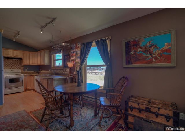 2784 Lakeside Dr, Fairplay, CO 80440