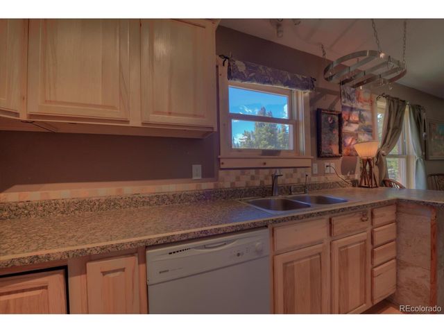 2784 Lakeside Dr, Fairplay, CO 80440