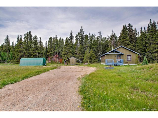 2784 Lakeside Dr, Fairplay, CO 80440