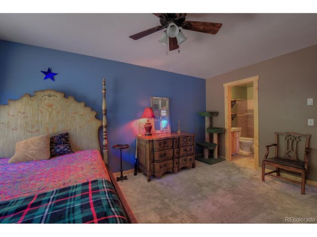 2784 Lakeside Dr, Fairplay, CO 80440