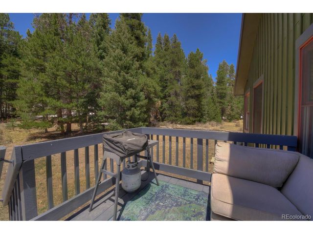 2784 Lakeside Dr, Fairplay, CO 80440