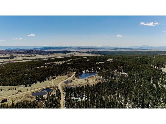 2784 Lakeside Dr, Fairplay, CO 80440