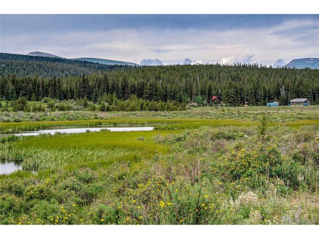 2784 Lakeside Dr, Fairplay, CO 80440