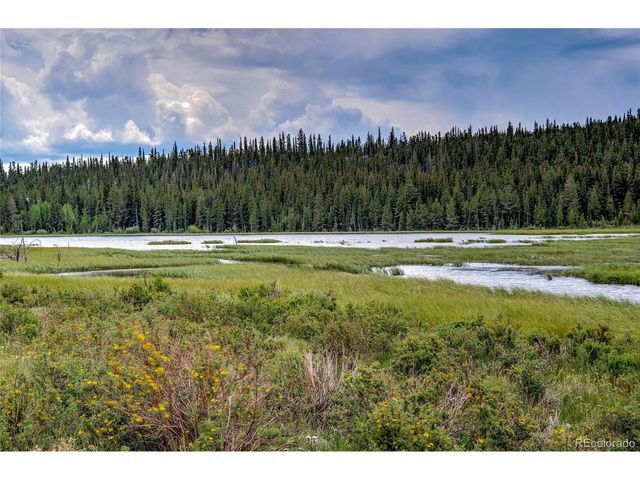 2784 Lakeside Dr, Fairplay, CO 80440