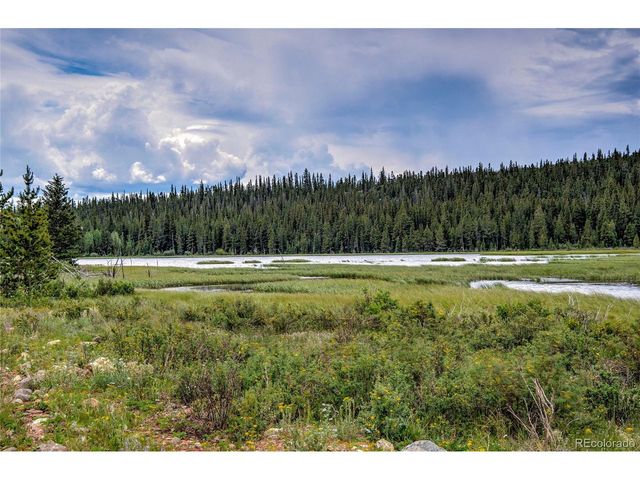 2784 Lakeside Dr, Fairplay, CO 80440