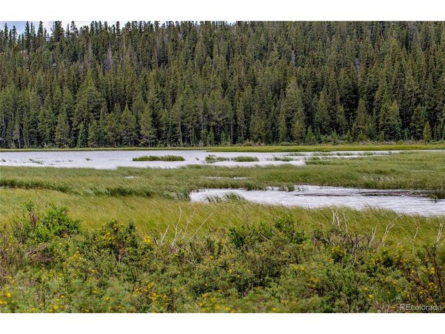 2784 Lakeside Dr, Fairplay, CO 80440