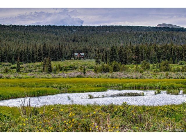 2784 Lakeside Dr, Fairplay, CO 80440