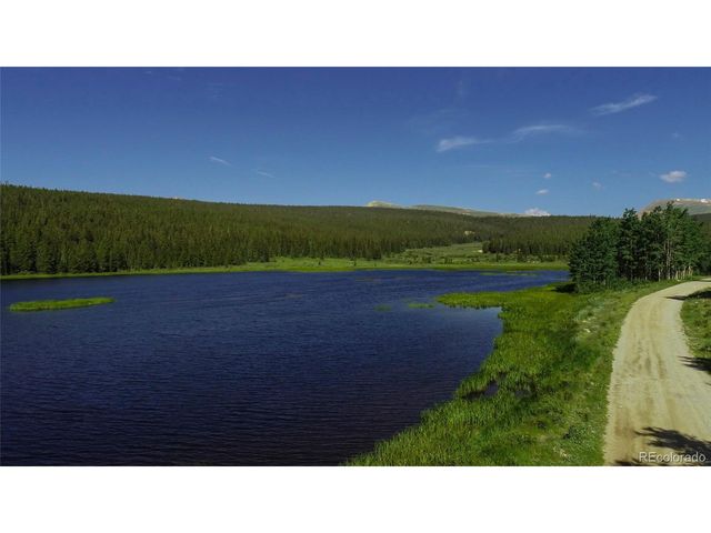 2784 Lakeside Dr, Fairplay, CO 80440