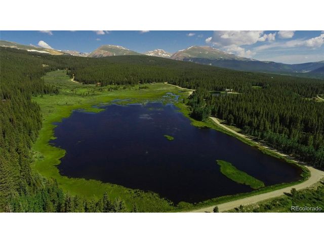2784 Lakeside Dr, Fairplay, CO 80440