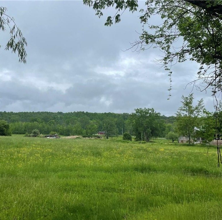 Hall Center Road, Marion, NY 14568