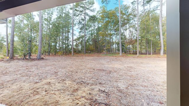 3 Ramblewood Lane, Wedgefield, SC 29168