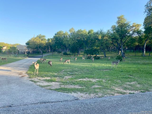1160 WHISPERING Whispering Water, Spring Branch, TX 78070