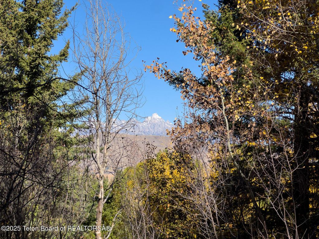 845 UPPER CACHE CREEK Drive, Jackson, WY 83001 photo 5