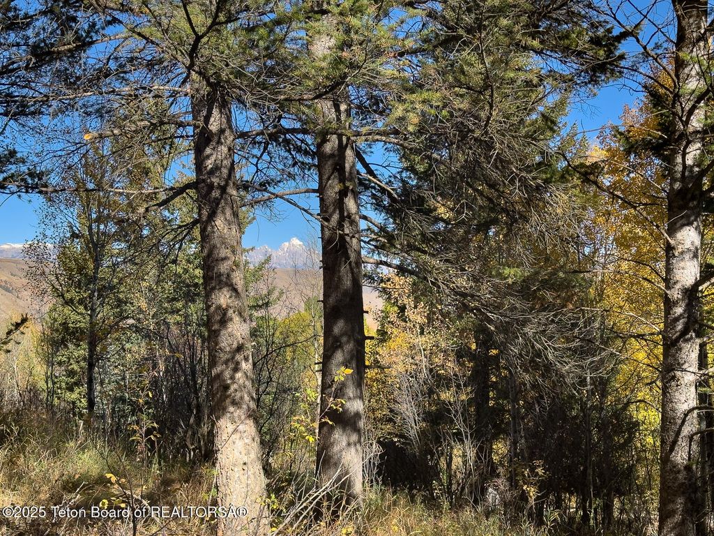 845 UPPER CACHE CREEK Drive, Jackson, WY 83001 photo 6