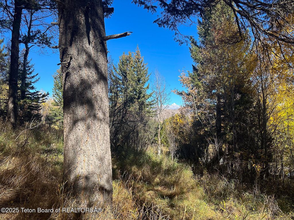 845 UPPER CACHE CREEK Drive, Jackson, WY 83001 photo 7