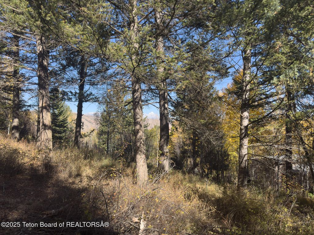 845 UPPER CACHE CREEK Drive, Jackson, WY 83001 photo 8