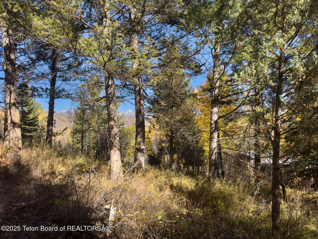 845 UPPER CACHE CREEK Drive, Jackson, WY 83001 photo 9