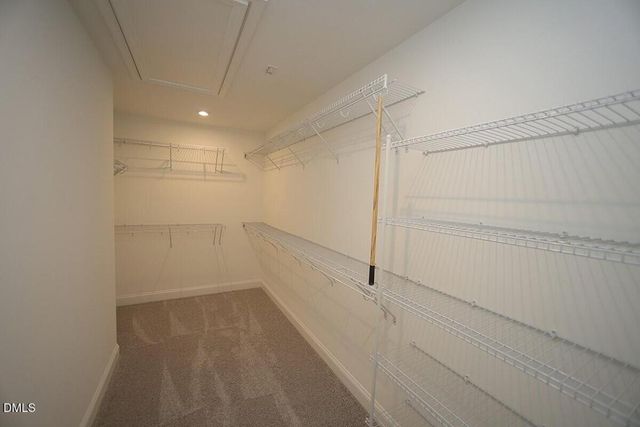 3115 Dunnock Drive, Durham, NC 27713