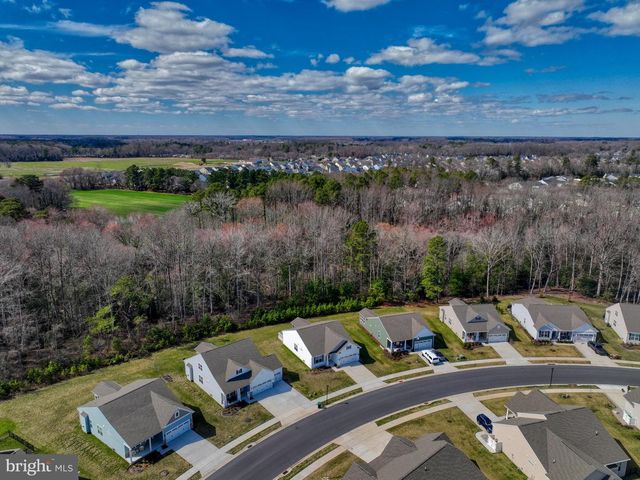 13079 LAUREL LEAF DR, Lewes, DE 19958