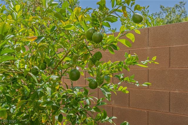 10451 Howling Coyote Avenue, Las Vegas, NV 89135