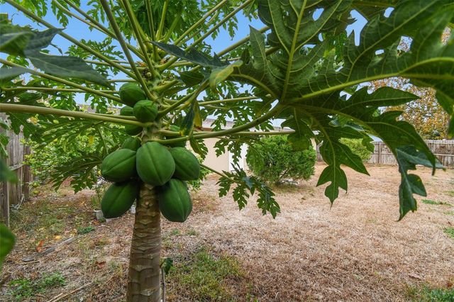 7810 BIRCHWOOD DR, Port Richey, FL 34668