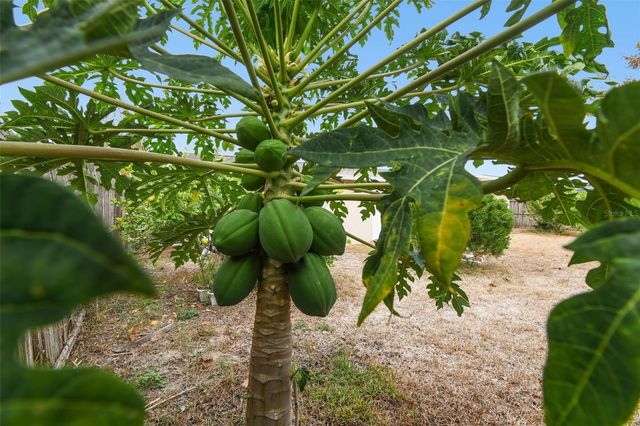 7810 BIRCHWOOD DR, Port Richey, FL 34668