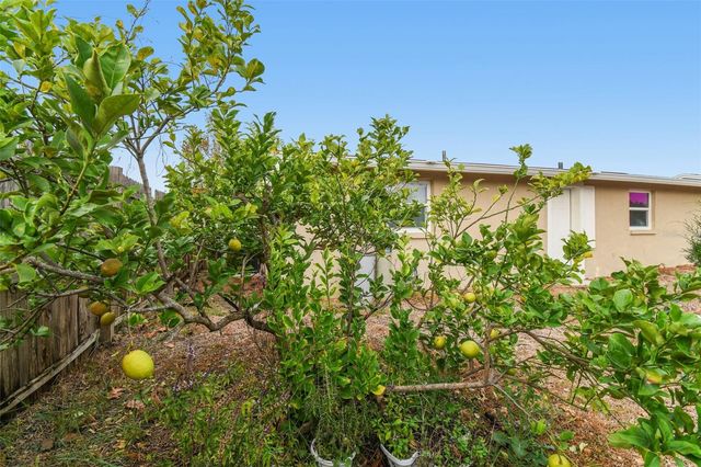 7810 BIRCHWOOD DR, Port Richey, FL 34668