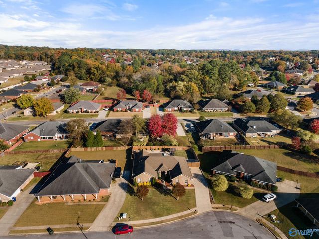 107 Lazy River Court, Harvest, AL 35749