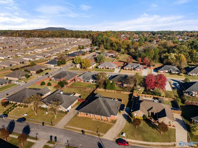 107 Lazy River Court, Harvest, AL 35749