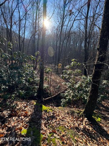 3766 Eagle Ridge Rd, Maryville, TN 37803