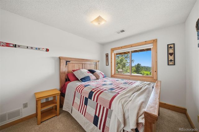 4269 Cedar Mountain Road, Divide, CO 80814