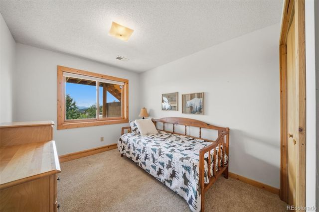 4269 Cedar Mountain Road, Divide, CO 80814