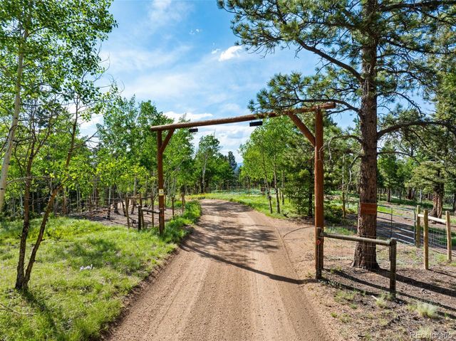 4269 Cedar Mountain Road, Divide, CO 80814