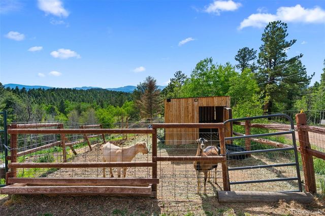 4269 Cedar Mountain Road, Divide, CO 80814